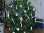 Weihnachtsbaum wiederverwenden