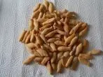 Goldfische