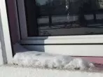 Fenster putzen bei Frost?