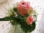 Rosen - fast für die Ewigkeit