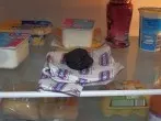Unangenehme Gerüche im Kühlschrank