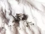 Haarfärbung auf der Haut