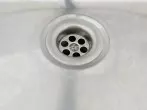 Fruchtfliegen auch im Ausguss