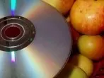 Fruchtfliegenfalle mit CD-ROM