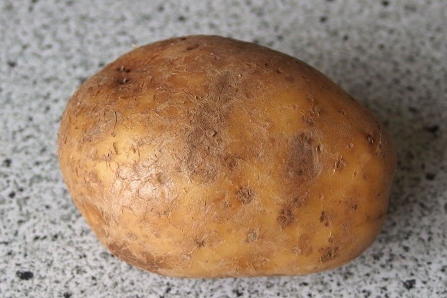 Schwarze Flecken auf den Kartoffeln Frag Mutti