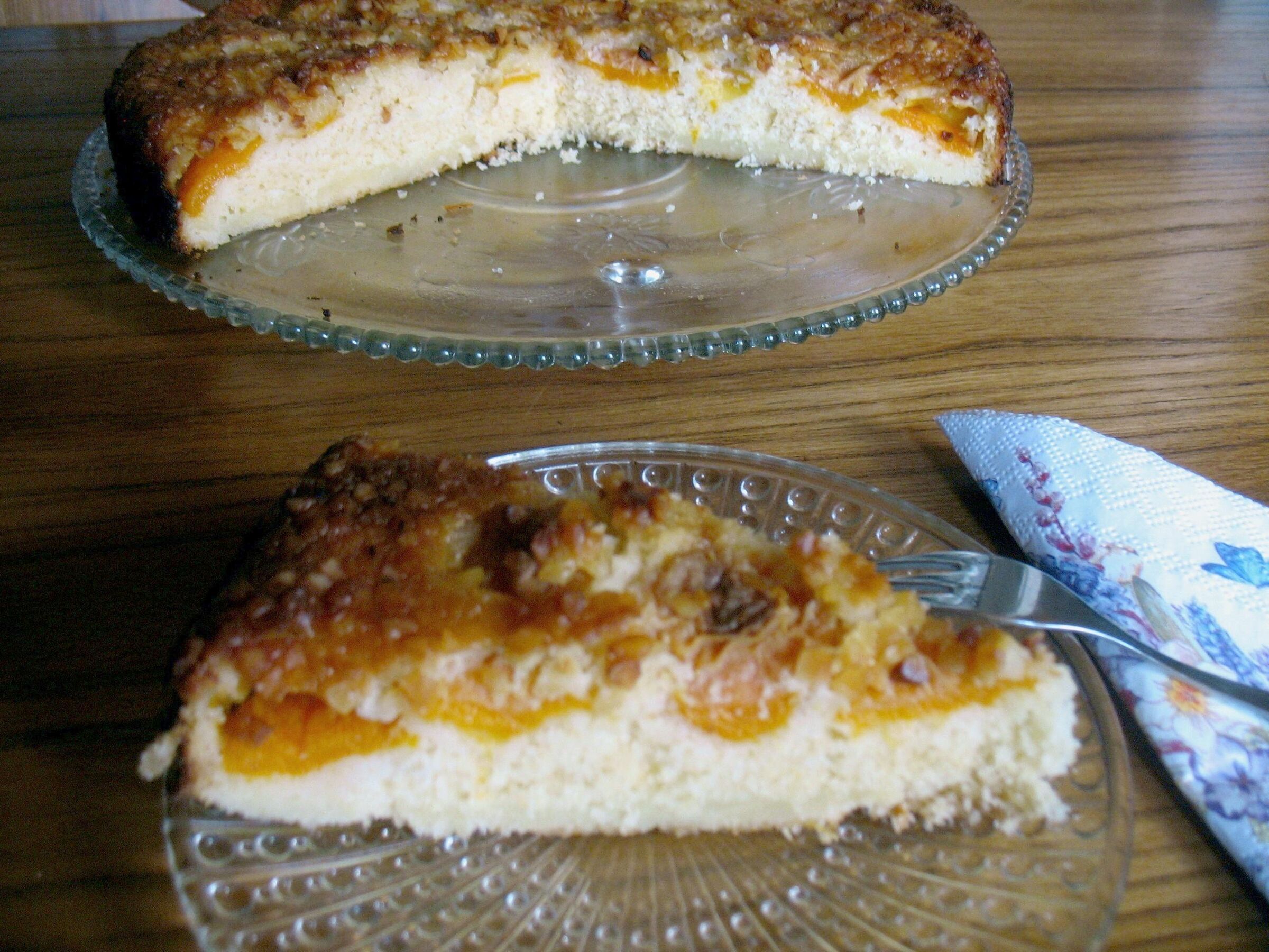 Aprikosen Kokos Torte - Rezepte Suchen