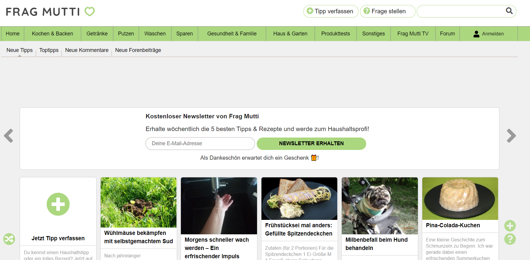 Mit der Veröffentlichung des neuen Logos im Jahr 2019 wurde auch die Website von Frag Mutti auf das frische Grün des Logos umgestellt.