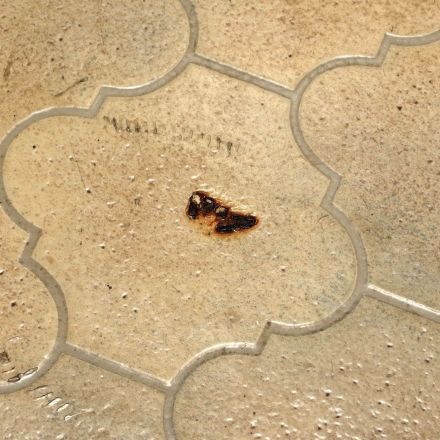 Kleine Brandflecken auf PVC?