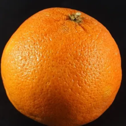 Heiße Orange statt "heiße Zitrone"