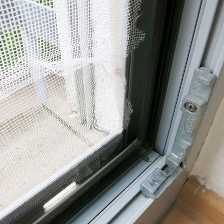 Fliegennetz-Klebereste mit Verdünner entfernen