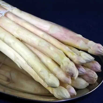 Spargel einfrieren