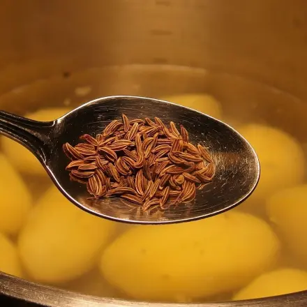 Salzkartoffeln mit Kümmel schmecken leckerer & bleiben länger frisch