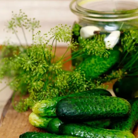 24-Stunden-Salzgurken