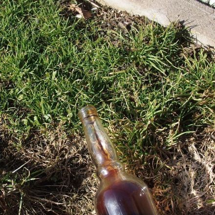 Hunde vom Vorgarten o.ä. fernhalten