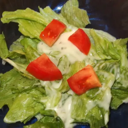Leichte Französische Salatsauce ohne Mayonnaise oder Rahm
