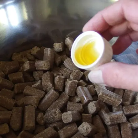 Trockene, schuppige Haut beim Hund bekämpfen