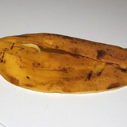 Dornwarzen mit Bananenschalen entfernen