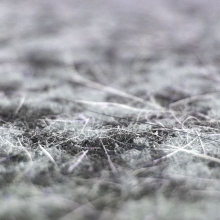 Übriggebliebene Hundehaare nach dem Saugen vom Teppich entfernen