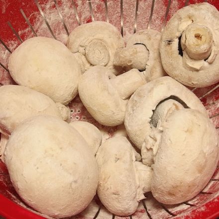 Pilze putzen - noch einfacher