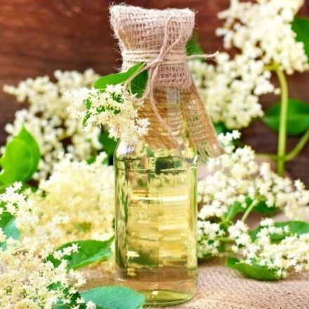 Holundersirup herstellen