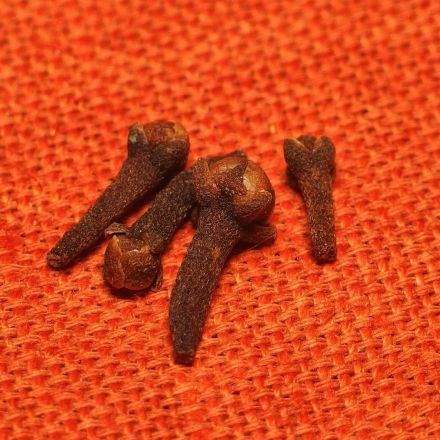 Gewürznelken gegen Zahnschmerzen