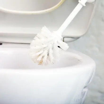 WC putzen: Grundkurs