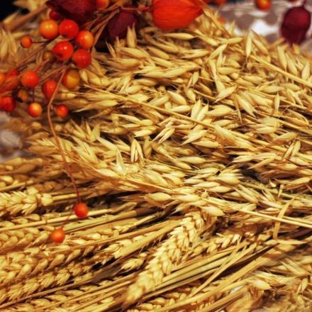 Dinkelkissen - Anwendung und Herstellung