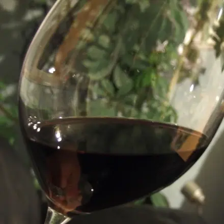 Weinreste sinnvoll verwerten :-)