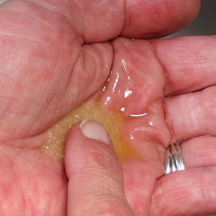 Peeling aus Salz und Olivenöl selbst herstellen