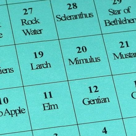 Bachblüten-Notfalltropfen für kranke oder welke Blumen