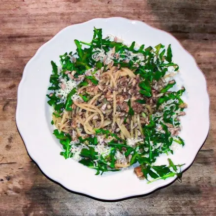 Immer eine tolle Soße für Nudeln