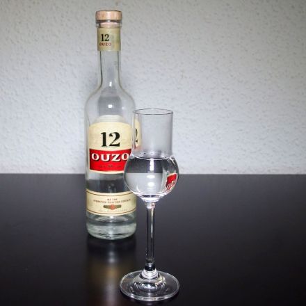 Kater von Anfang an vermeiden