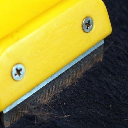 Katzenhaare von Kleidung und Decken entfernen