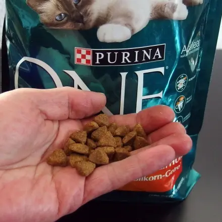 Purina hilft gegen Durchfall bei alter Katze