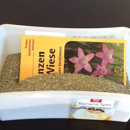 Muffige Bücher wieder "frisch" mit Katzenstreu