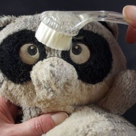 Verfilzte Kuscheltiere wieder plüschig bürsten
