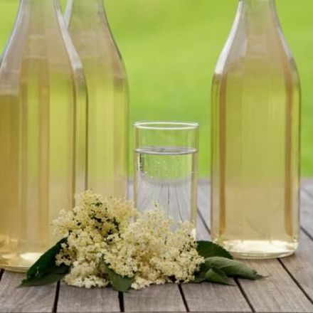 Holunderblütensirup selbst herstellen