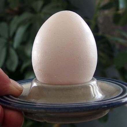 Frühstückseier leicht abpellen (schnell und einfach)