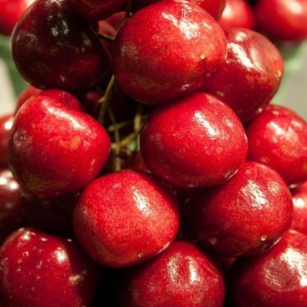 Maden und Würmer in Kirschen