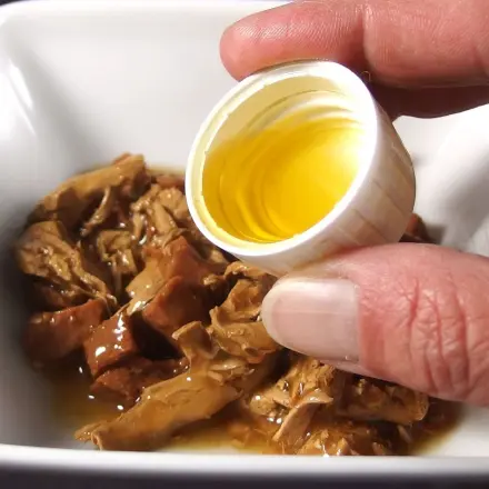 Haarballenerbrechen bei Katzen