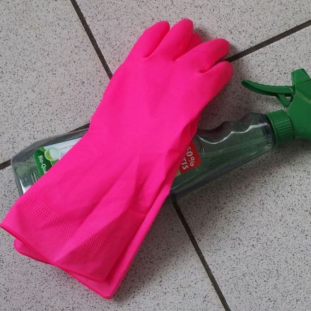 Psychotest Hausarbeit