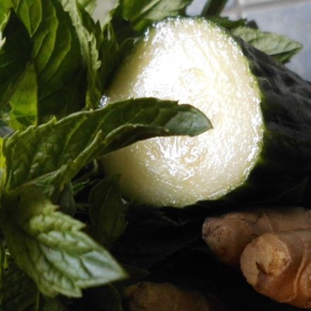 "Schlankwasser" zur Unterstützung einer Diät