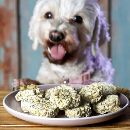 Rezept: Hundekuchen selber backen