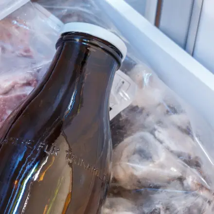 Stechmücken ohne Flecken an Wand und Decke fangen