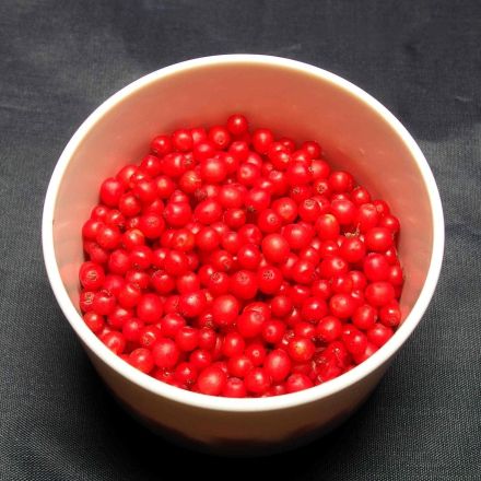 Fruchtsäurepeeling selbstgemacht mit roten Johannisbeeren