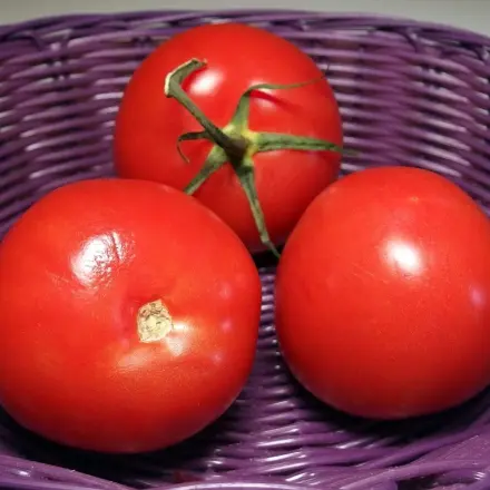 Qualitativ gute und günstige Tomaten