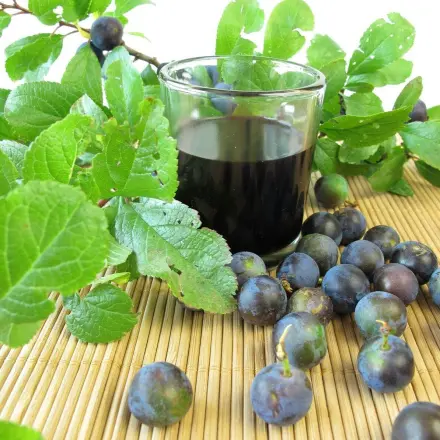 Schlehensaft selber machen