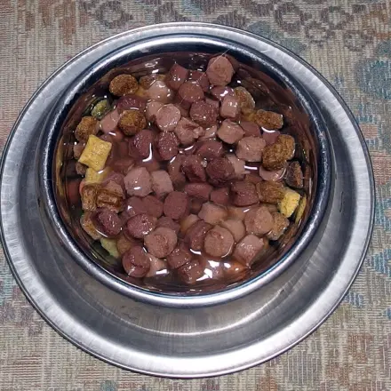 Wasser ins Katzenfutter