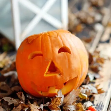 Leuchtender und wärmender Kürbis für den Herbst