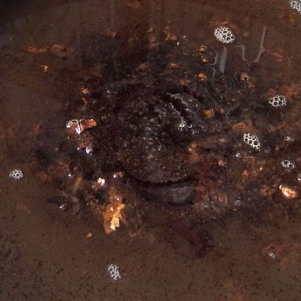 Angebrannte Kochtöpfe mit Wasser und Spülmittel reinigen